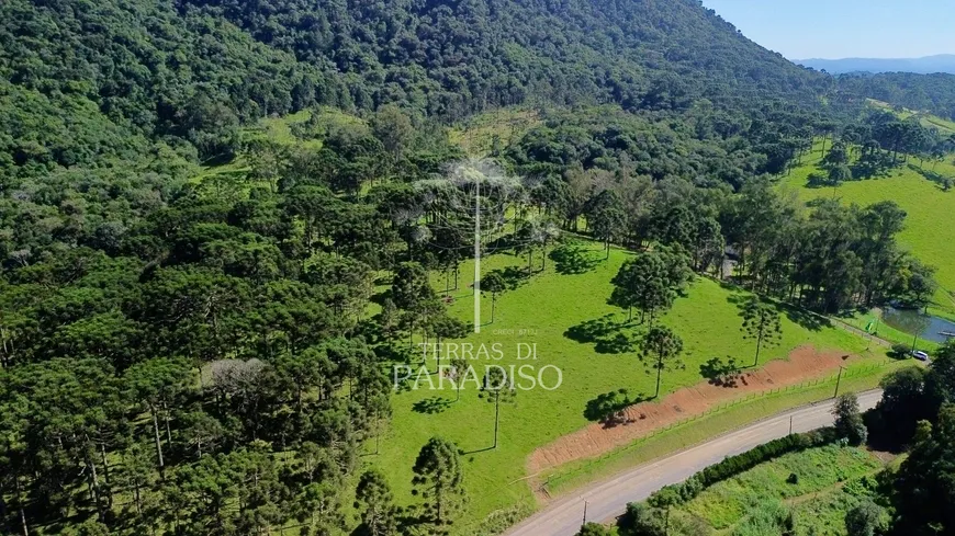 Foto 1 de Fazenda/Sítio com 2 Quartos à venda, 83162m² em Saltinho, Campo Alegre