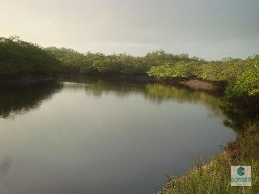 Foto 1 de Fazenda/Sítio à venda, 1410000m² em Zona Rural, Jaguaripe