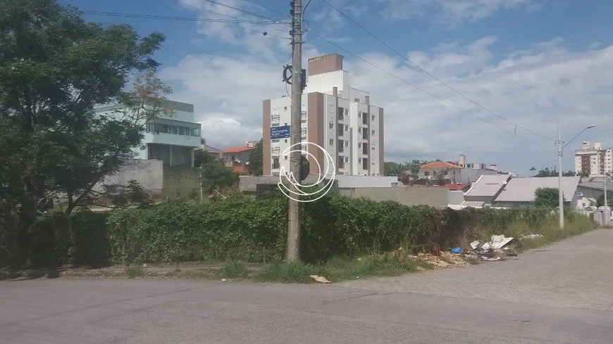 Foto 1 de Lote/Terreno à venda, 2009m² em Jardim Atlântico, Florianópolis