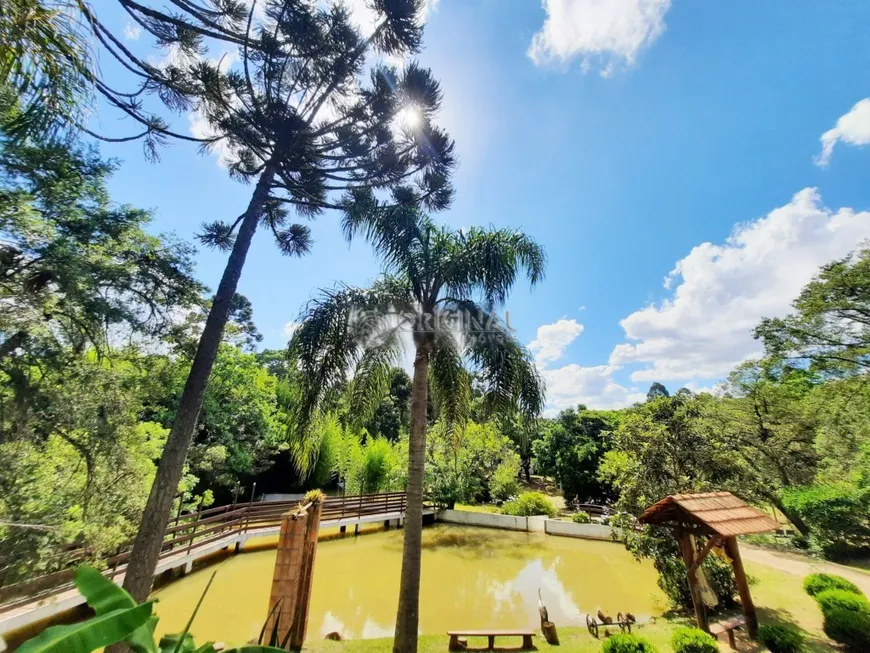Foto 1 de Fazenda/Sítio com 9 Quartos para alugar, 28000m² em Jardim Boa Vista, Campo Largo