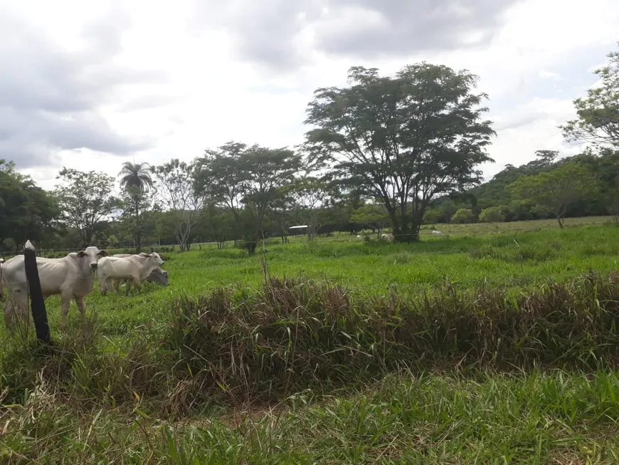 Foto 1 de Lote/Terreno à venda, 20000m² em Zona Rural, Araçaí