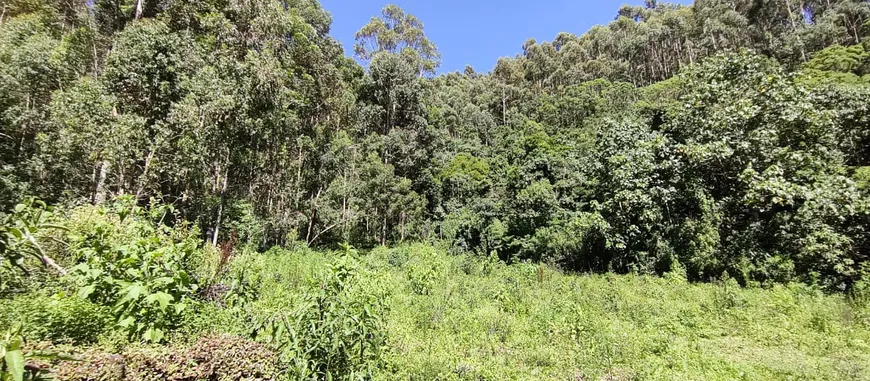 Foto 1 de Lote/Terreno à venda, 70000m² em Zona Rural, Marmelópolis