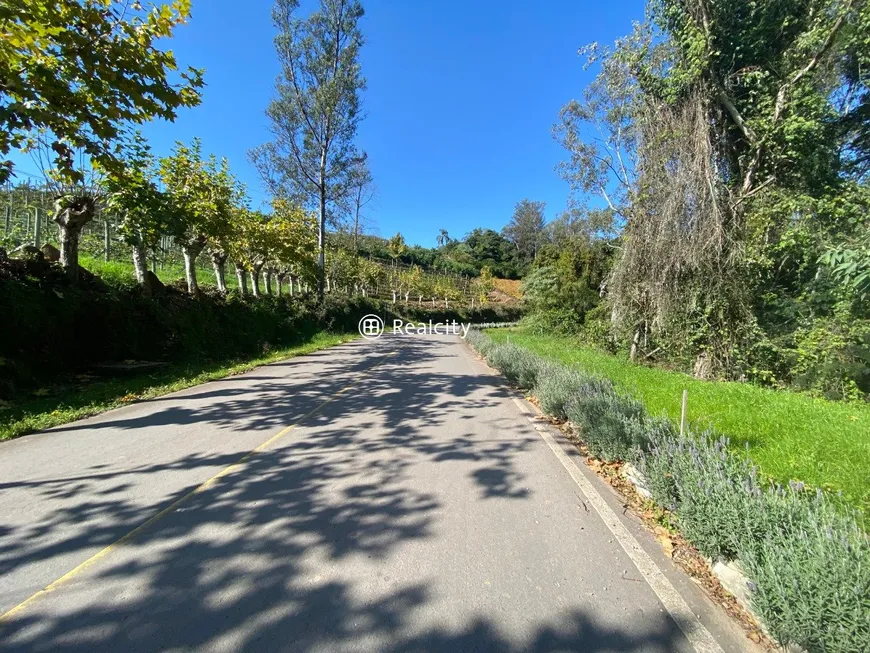 Foto 1 de Lote/Terreno à venda, 150000m² em Centro, Monte Belo do Sul