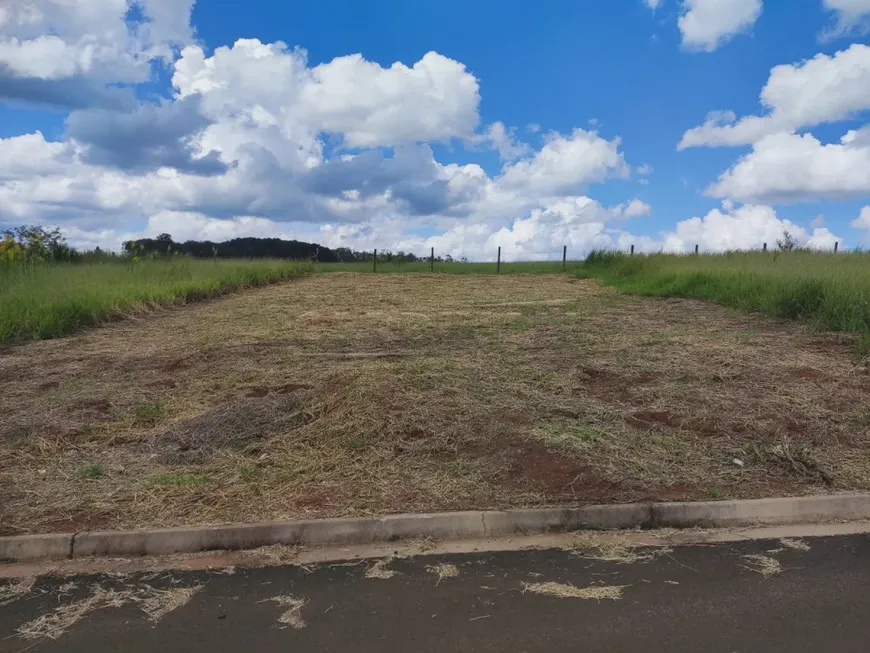 Foto 1 de Lote/Terreno à venda, 250m² em Jardim Leticia, São Carlos