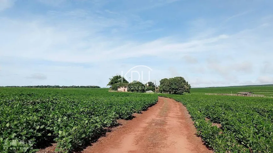 Foto 1 de Fazenda/Sítio à venda, 930000m² em Zona Rural, Primavera do Leste