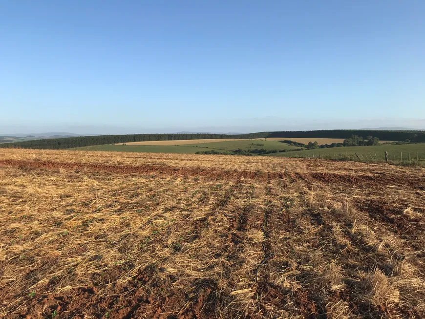 Foto 1 de Fazenda/Sítio com 1 Quarto à venda, 2160000m² em Centro, Arroio dos Ratos