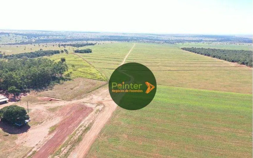 Foto 1 de Fazenda/Sítio à venda, 81000000m² em Zona Rural, Cassilândia