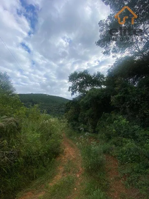 Foto 1 de Fazenda/Sítio à venda, 948000m² em Área Rural de Campo Largo, Campo Largo