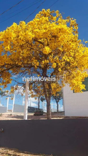 Foto 1 de Lote/Terreno à venda, 1000m² em Quintas do Jacuba, Contagem