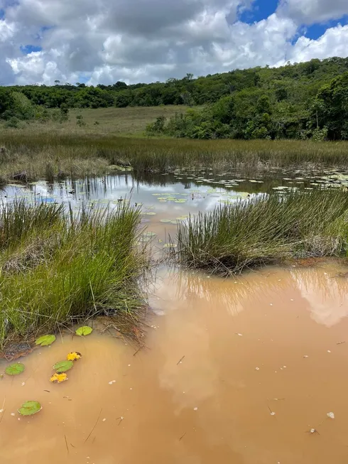 Foto 1 de Fazenda/Sítio com 2 Quartos à venda, 1260000m² em , Pedro Velho