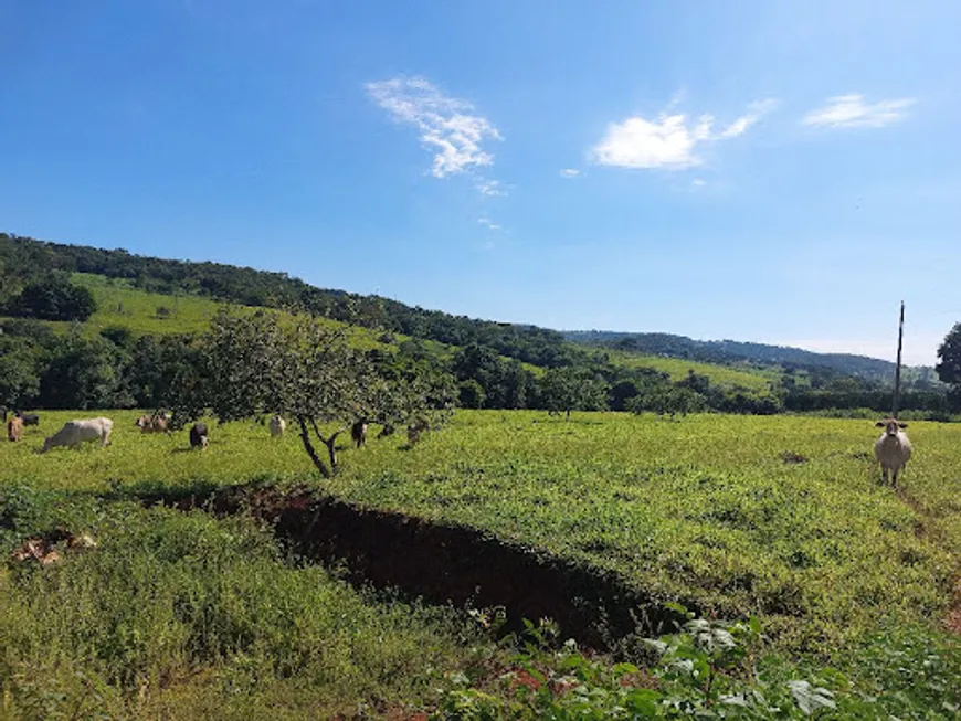 Foto 1 de Fazenda/Sítio à venda, 24100m² em Zona Rural, Campo Limpo de Goiás