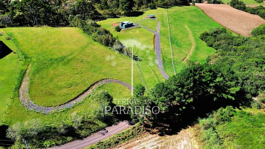 Foto 1 de Fazenda/Sítio à venda, 7737m² em Centro, Campo Alegre