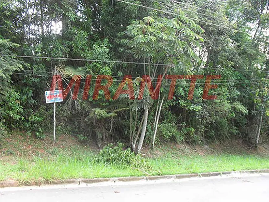 Foto 1 de Lote/Terreno à venda, 1540m² em Serra da Cantareira, São Paulo