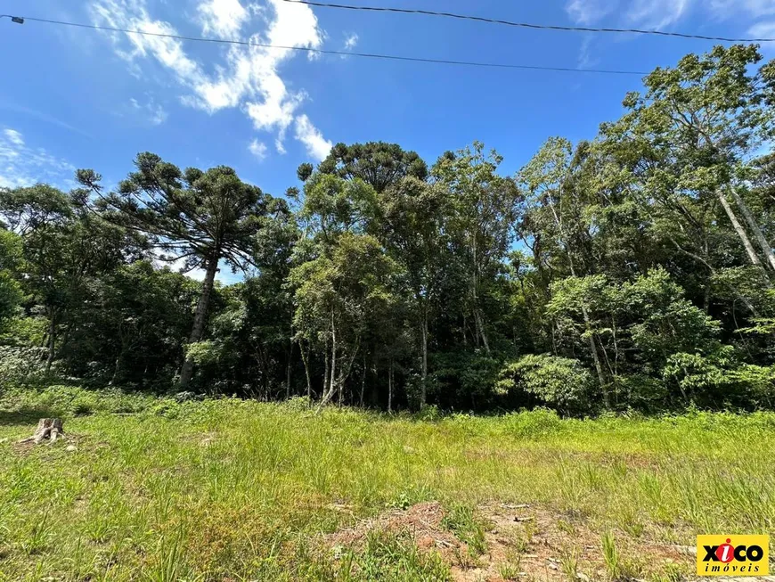 Foto 1 de Lote/Terreno à venda, 757m² em Linha Imperial, Nova Petrópolis