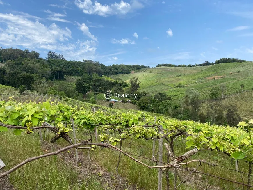 Foto 1 de Lote/Terreno à venda, 110000m² em , Monte Belo do Sul