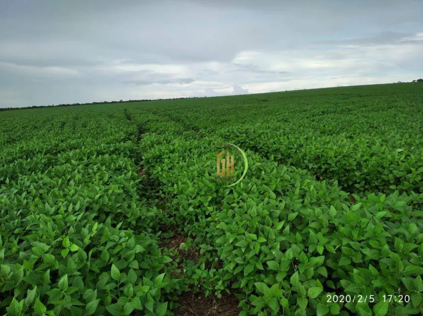 Foto 1 de Fazenda/Sítio à venda, 5000000m² em Zona Rural, Doverlândia