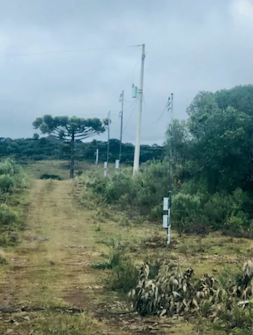 Foto 1 de Fazenda/Sítio à venda, 2000m² em Criúva, Caxias do Sul