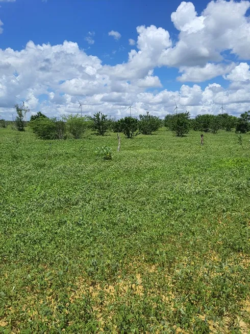 Foto 1 de Fazenda/Sítio com 3 Quartos à venda, 45000m² em Centro, Jandaíra