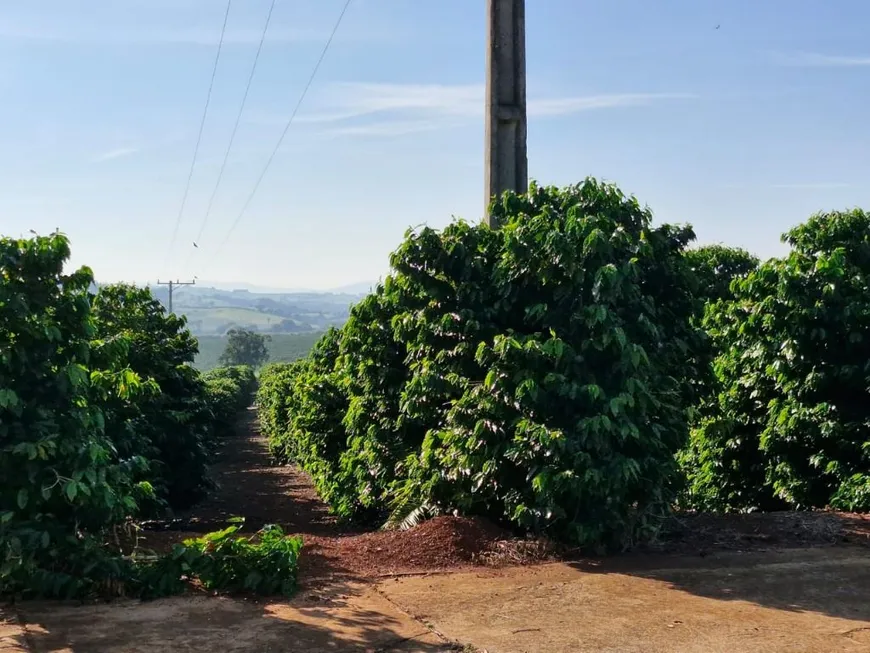 Foto 1 de Fazenda/Sítio com 5 Quartos à venda, 1210000m² em , Espírito Santo do Pinhal