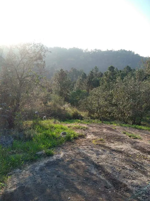 Foto 1 de Lote/Terreno à venda em Sitio do Morro, Santana de Parnaíba