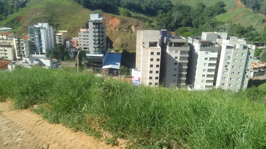 Foto 1 de Lote/Terreno à venda, 270m² em Antar Ville, Ponte Nova