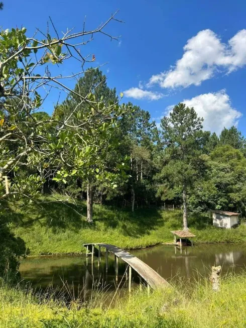 Foto 1 de Lote/Terreno à venda, 500m² em Morro Grande, Ibiúna