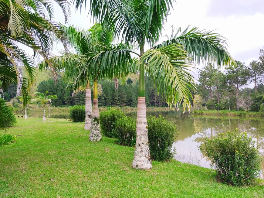 Foto 1 de Fazenda/Sítio com 4 Quartos à venda, 580800m² em Santa Isabel, Santa Isabel