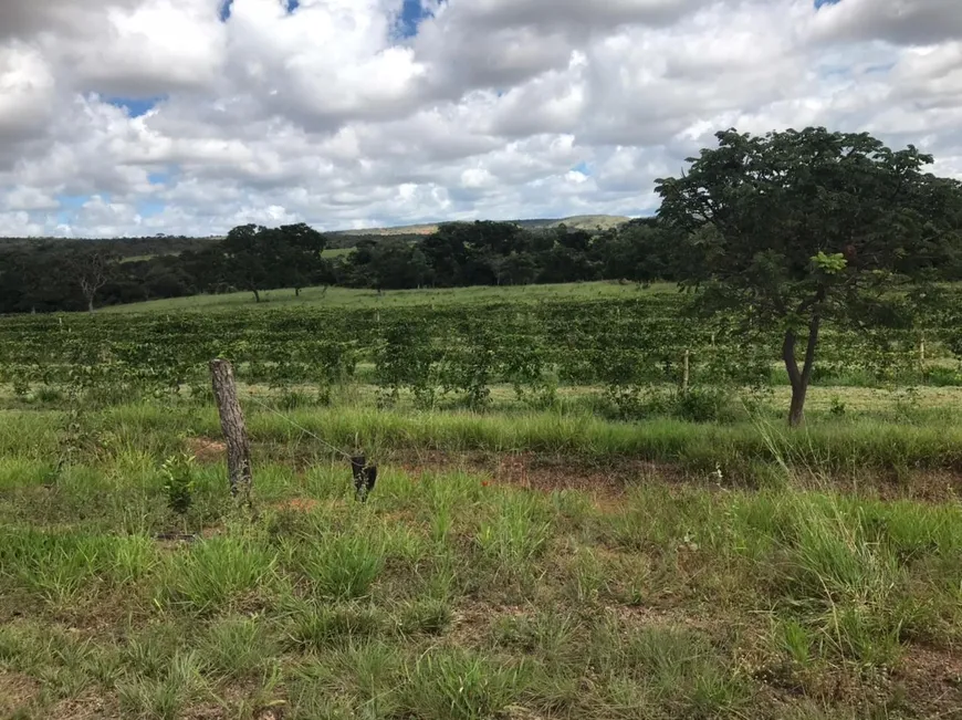 Foto 1 de Fazenda/Sítio com 7 Quartos à venda em , Formoso