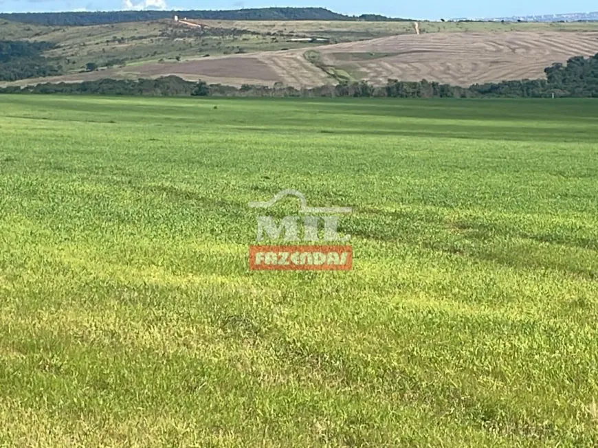 Foto 1 de Fazenda/Sítio à venda em Zona Rural, Luziânia