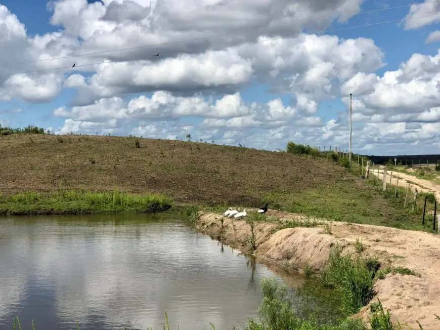 Foto 1 de Fazenda/Sítio com 2 Quartos à venda, 26000000m² em Rincao da Cruz, Pelotas