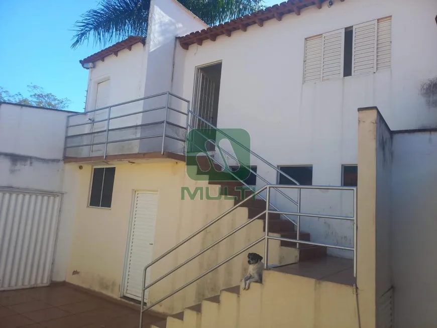 Foto 1 de Apartamento com 2 Quartos para alugar, 40m² em Jardim Indaia, Uberlândia