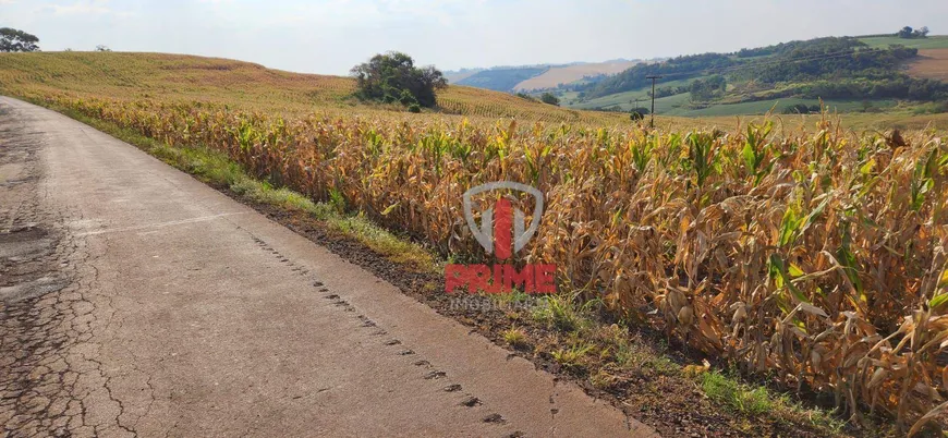 Foto 1 de Fazenda/Sítio à venda, 484000m² em Zona Rural, Assaí