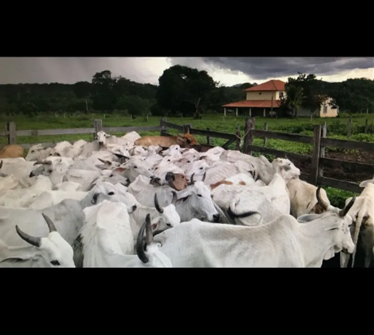 Foto 1 de Fazenda/Sítio à venda em Zona Rural, Cavalcante