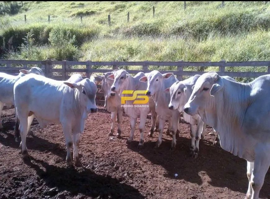 Foto 1 de Fazenda/Sítio com 1 Quarto à venda, 250000m² em , Camanducaia