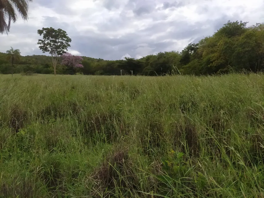 Foto 1 de Fazenda/Sítio à venda em Centro, Formosa