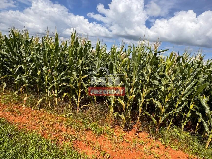 Foto 1 de Prédio Comercial à venda em Zona Rural, Corumbá de Goiás