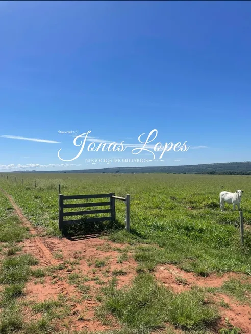 Foto 1 de Fazenda/Sítio com 1 Quarto à venda, 2000m² em Jardim Aclimação, Maringá