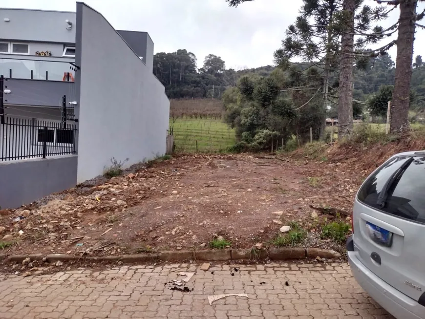 Foto 1 de Lote/Terreno à venda, 347m² em Monte Bérico, Caxias do Sul