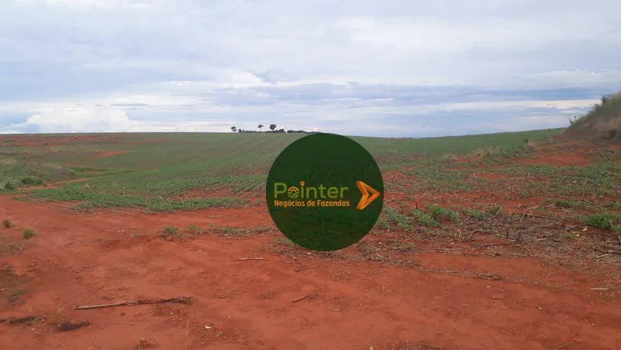 Foto 1 de Fazenda/Sítio à venda, 1597200m² em Fazenda Santa Barbara de Baixo, Santa Bárbara de Goiás