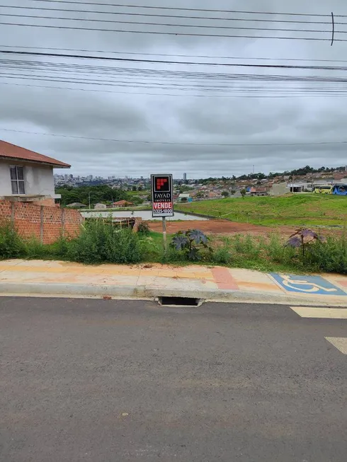 Foto 1 de Lote/Terreno à venda, 452m² em Cara Cara, Ponta Grossa