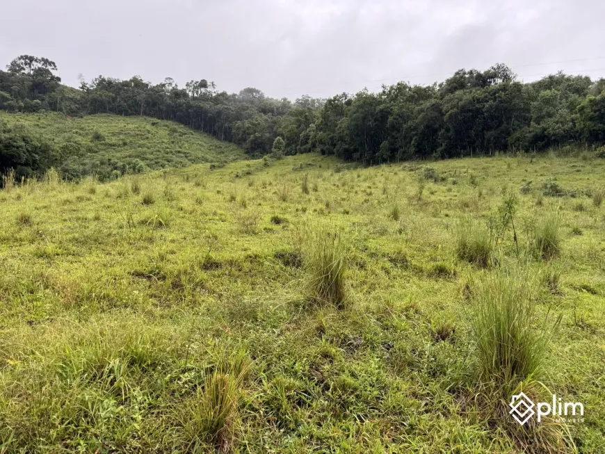 Foto 1 de Fazenda/Sítio com 1 Quarto à venda, 20000m² em , Alfredo Wagner