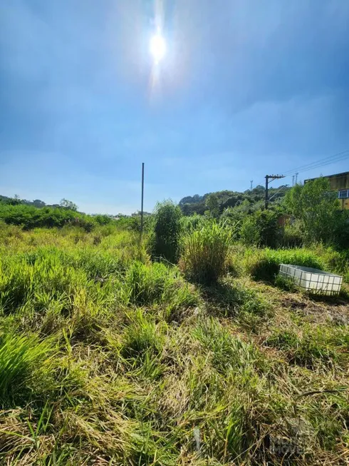 Foto 1 de Lote/Terreno à venda, 10000m² em Parque Bahia, Cotia