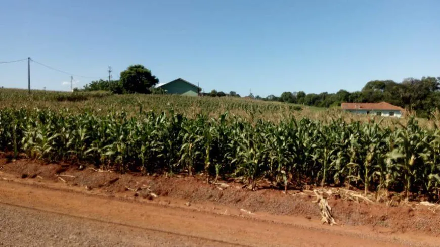 Foto 1 de Lote/Terreno à venda, 1000m² em Imigrante, Lajeado