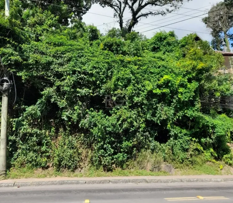 Foto 1 de Lote/Terreno à venda, 1m² em Tristeza, Porto Alegre