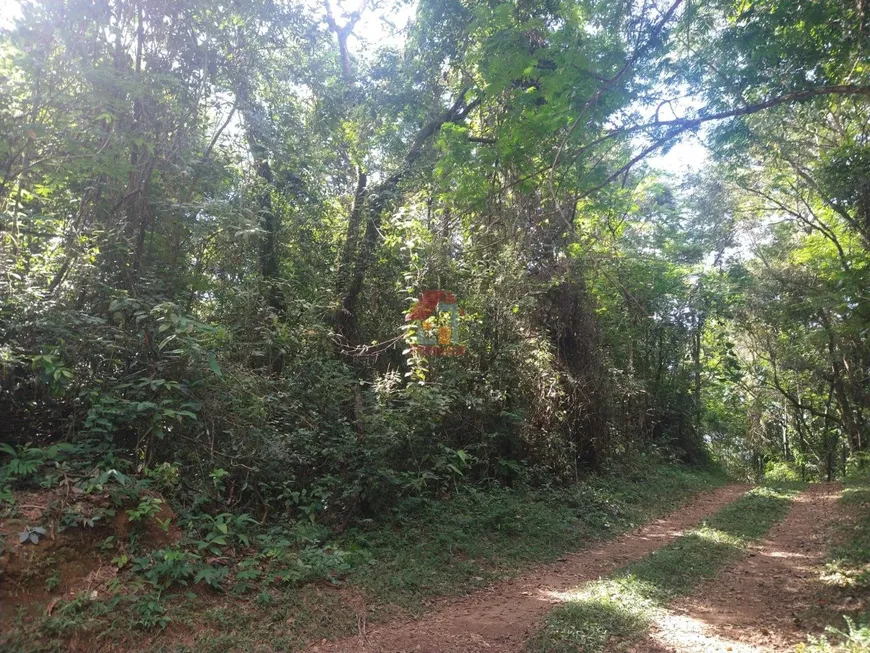 Foto 1 de Lote/Terreno à venda, 2400m² em Cabeceiras, Nova Lima