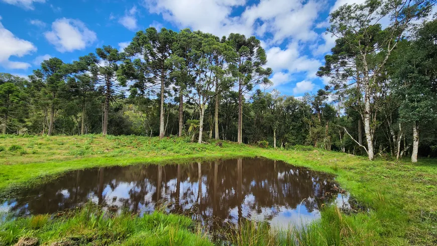 Foto 1 de Fazenda/Sítio à venda, 200000m² em Centro, Bocaina do Sul