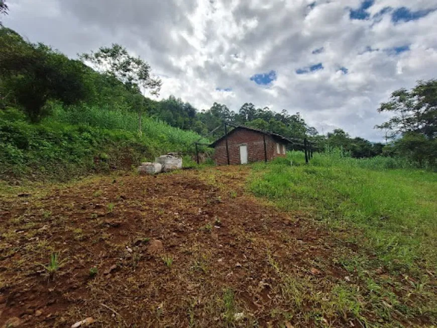 Foto 1 de Fazenda/Sítio com 2 Quartos à venda, 80m² em Vila Cristina, Caxias do Sul