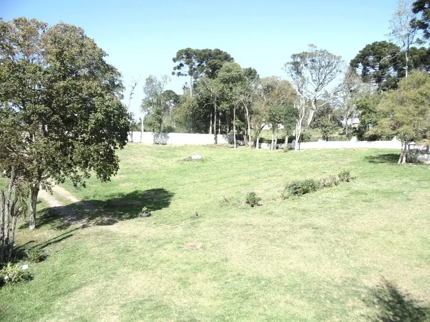 Foto 1 de Lote/Terreno para alugar, 18000m² em Estados, Fazenda Rio Grande