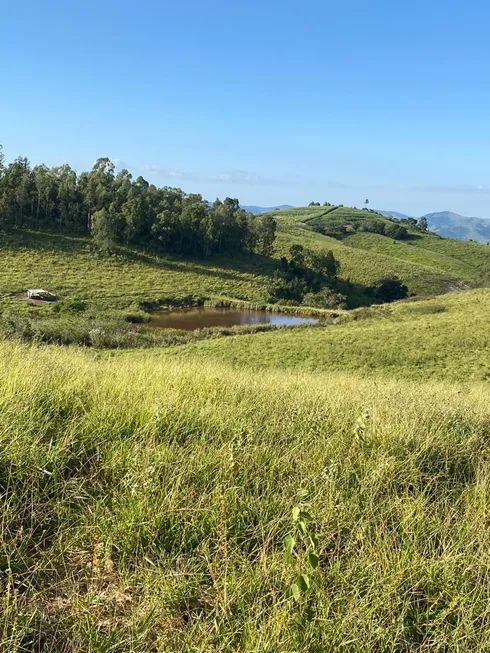 Foto 1 de Fazenda/Sítio à venda, 4120000m² em Zona Rural, Jacutinga