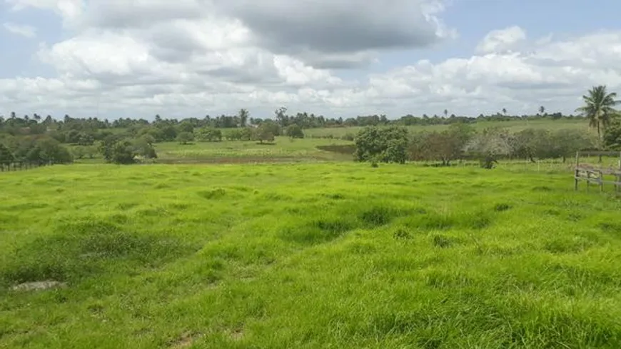 Foto 1 de Fazenda/Sítio com 3 Quartos à venda, 370000m² em Centro, Santa Maria